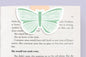 Butterfly Jumbo Magnetic Bookmark - CVJ1156BUTT