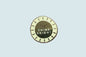 Shine Bright Pin - CVP1331SHIN