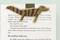 Caiman Jumbo Magnetic Bookmark - CVJ1442CAIM