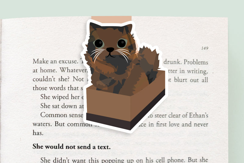 Cat in a Box Jumbo Magnetic Bookmark - CVJ1186BOXC