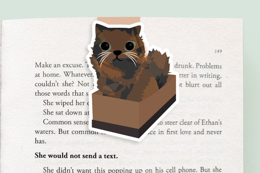 Cat in a Box Jumbo Magnetic Bookmark - CVJ1186BOXC