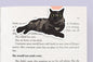 Black Cat Lying Down Jumbo Magnetic Bookmark - CVJ1190BLLY