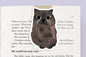 Tortoiseshell Cat Whiskers Jumbo Magnetic Bookmark - CVJ1185WHIS