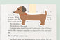Dachshund Dog Jumbo Magnetic Bookmark - CVJ1158DACH