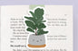 Fiddle Fig Jumbo Magnetic Bookmark - CVJ1028FIDD