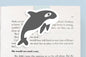 Orca Jumbo Magnetic Bookmark - CVJ1086ORCA