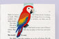 Red Macaw Jumbo Magnetic Bookmark - CVJ1444REMA