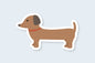 Dachshund Sticker - CVS1386DACH