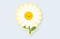 Daisy Flower Sticker - CVS1387DAIS