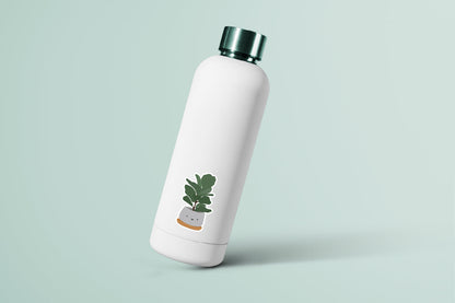 Fiddle Fig Plant Sticker - CVS1391FIGP