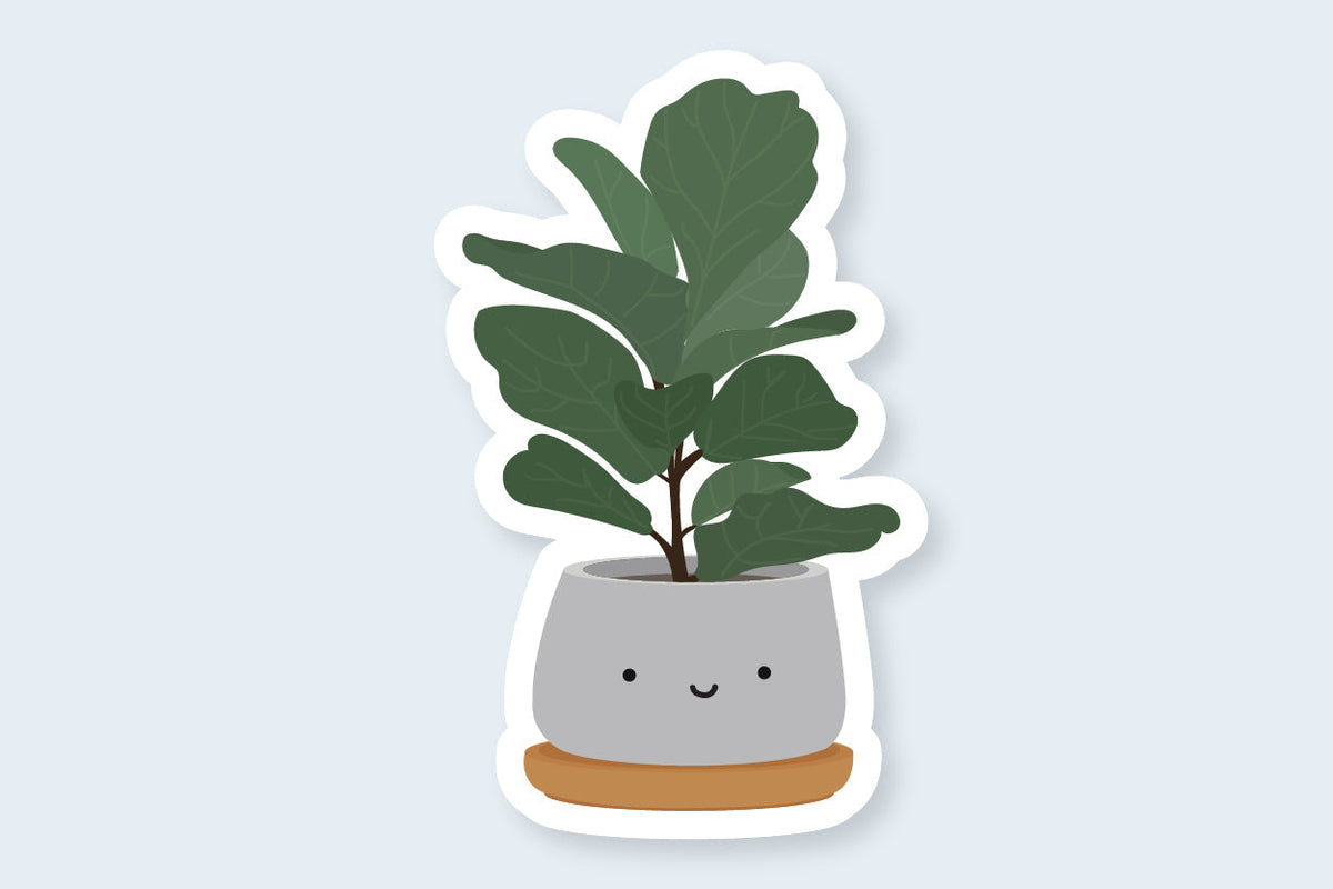 Fiddle Fig Plant Sticker - CVS1391FIGP