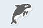 Orca Sticker - CVS1397ORCA