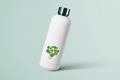 Pilea Plant Sticker - CVS1400PILE