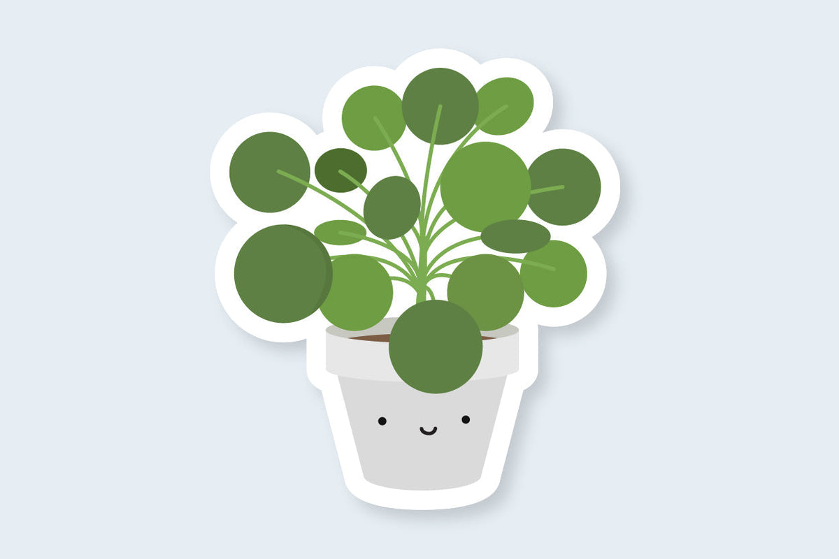 Pilea Plant Sticker - CVS1400PILE