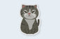 Squinty Grey Cat Sticker - CVS1406SCAT